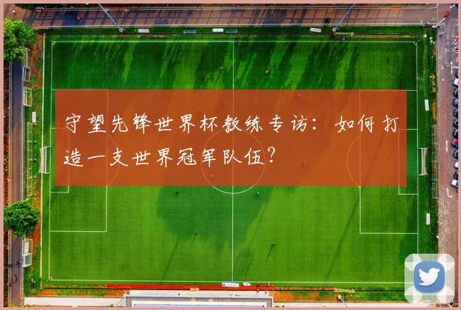 守望先锋世界杯教练专访：如何打造一支世界冠军队伍？