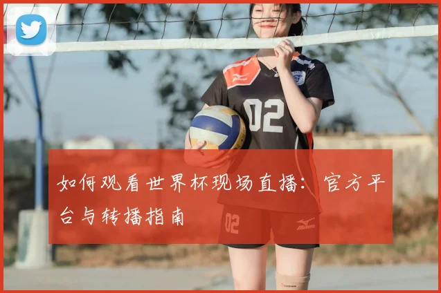 如何观看世界杯现场直播:官方平台与转播指南