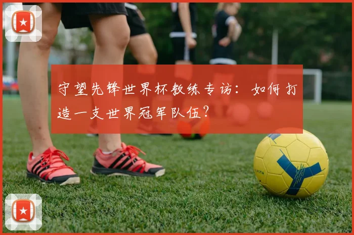 守望先锋世界杯教练专访：如何打造一支世界冠军队伍？
