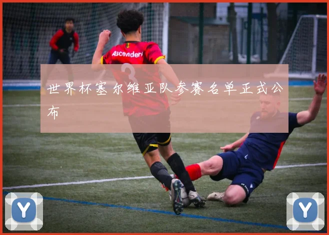 世界杯塞尔维亚队参赛名单正式公布