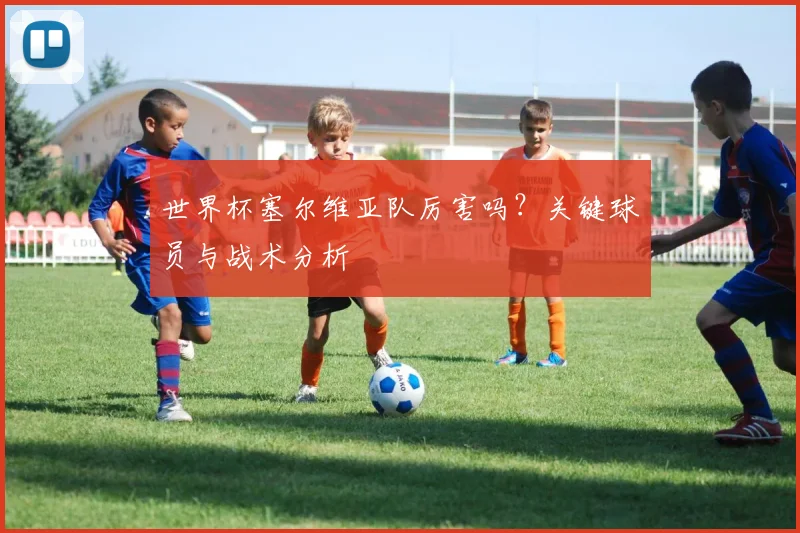 世界杯塞尔维亚队厉害吗？关键球员与战术分析